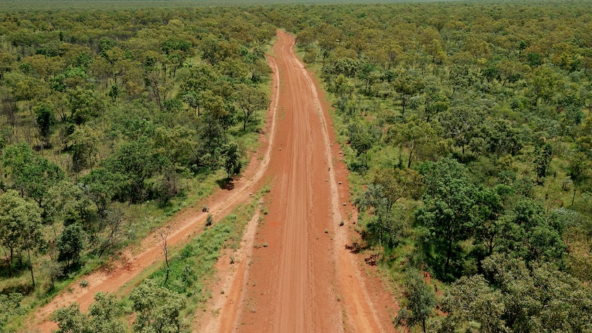 aerial of a dirt road in bushland