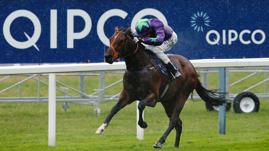 Wall of Fire wins at Ascot Racecourse in England on July 24, 2015.