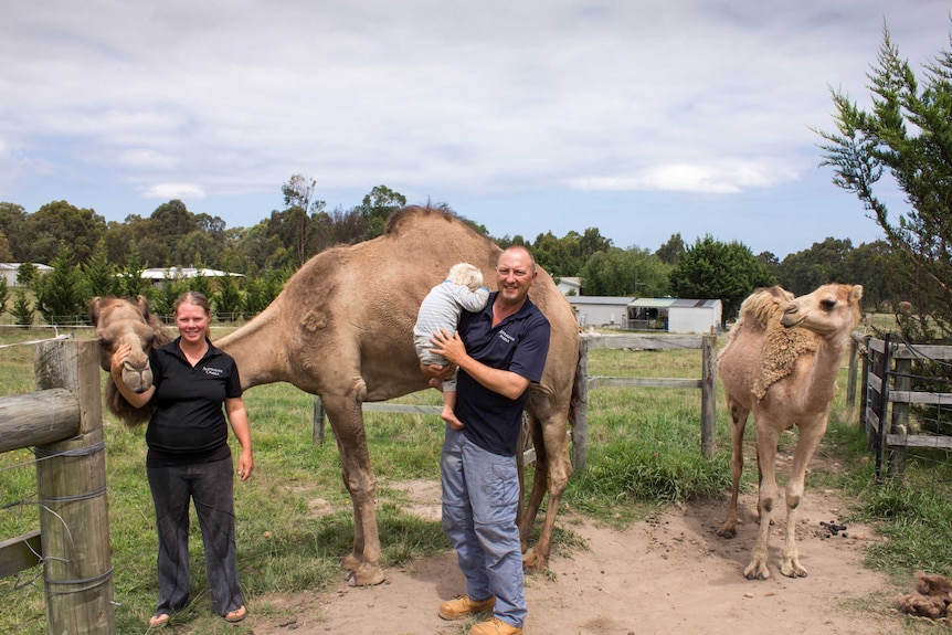 Tara and Russell with two of their beloved camels.