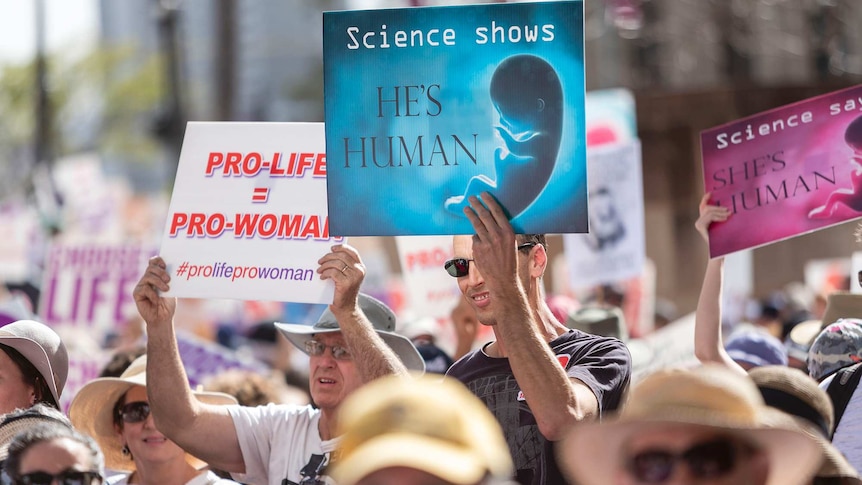 Protesters hold placards during a pro-life rally in Brisbane, Saturday, September 1, 2018.