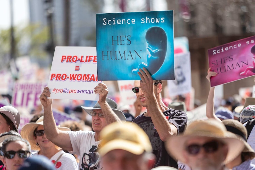 Protesters hold placards during a pro-life rally in Brisbane, Saturday, September 1, 2018.