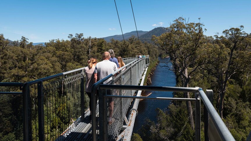 Tourists on suspended walkway above forest and river.