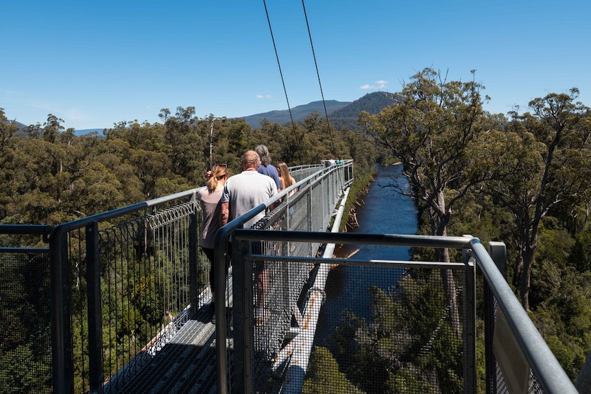 Tourists on suspended walkway above forest and river.