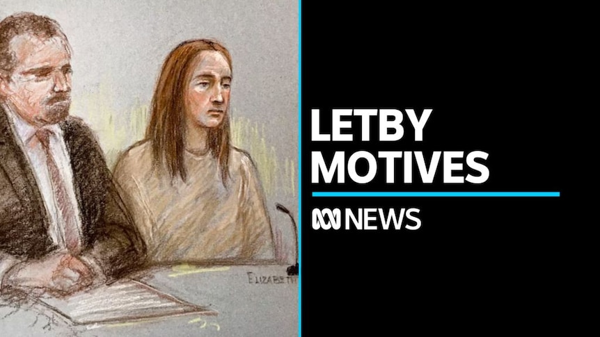 Lucy Letby: Inside the mind of a serial killer - the psychology behind  healthcare murderers, UK News