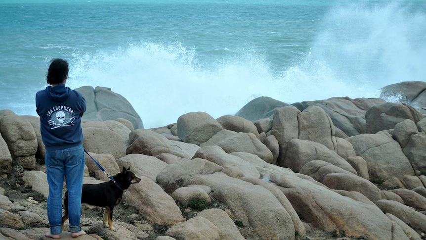 A person in a hoodie, holding a dog on a leash, looks out to sea as foam explodes up over a breakwall.