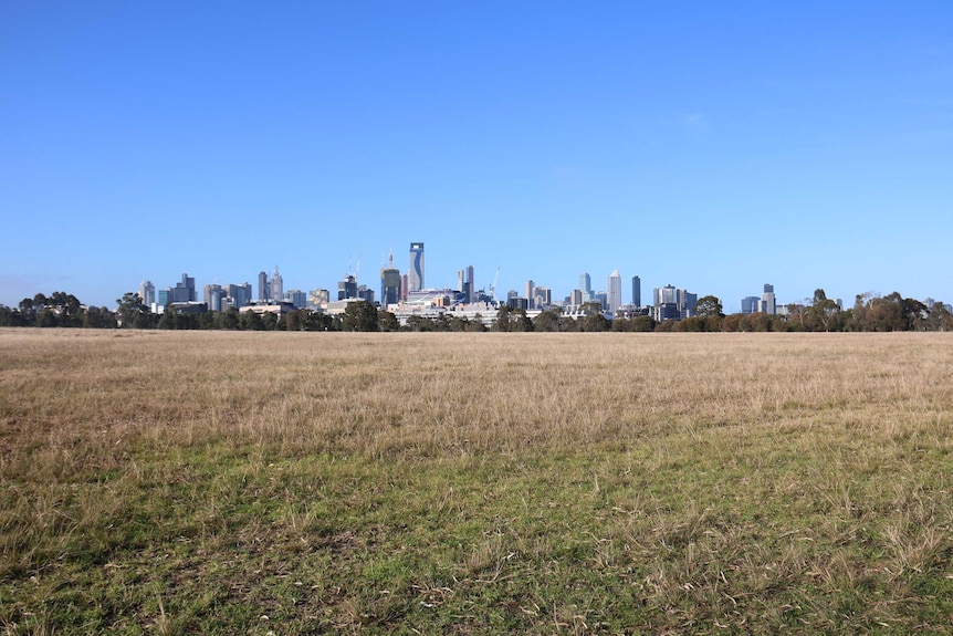 A view of the city of Melbourne from the green parkland of Royal Park.