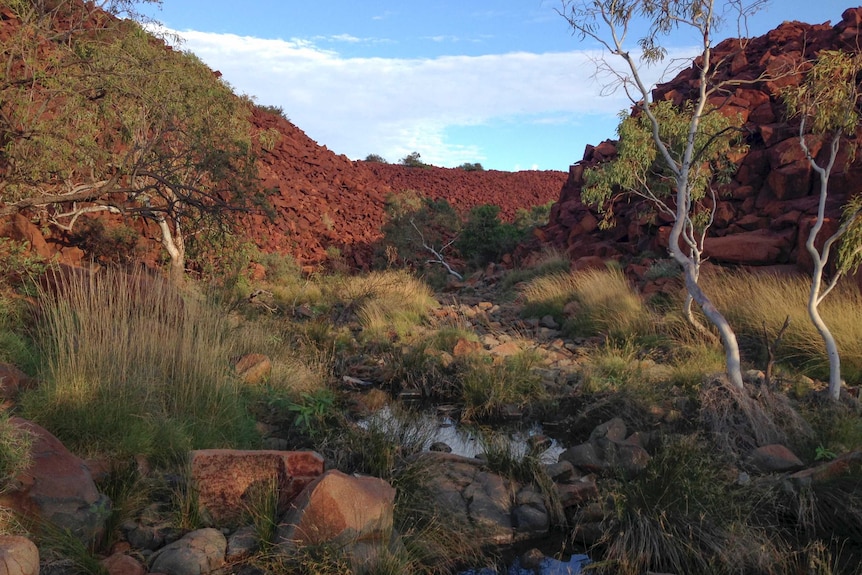 A rocky gorge with red rocks, gum trees and a small patch of water.