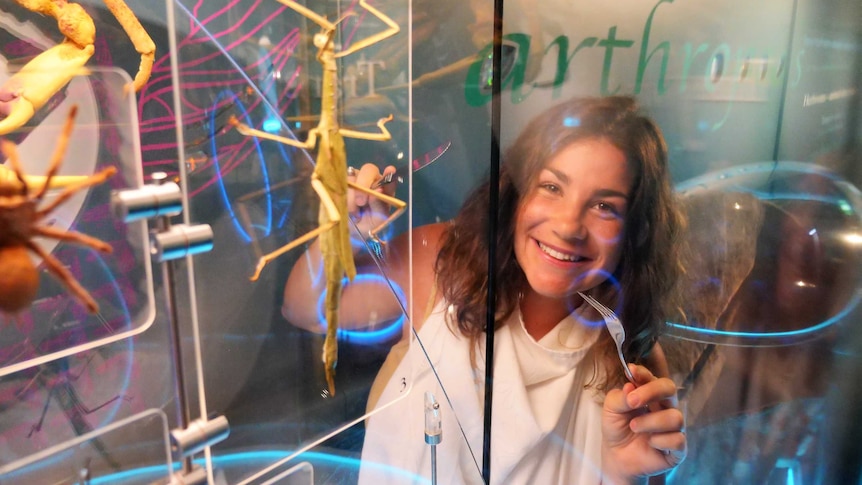 A woman holds a knife and fork over insects on display in glass cabinets inside a museum.