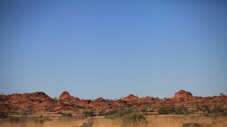 Karlamilyi National Park