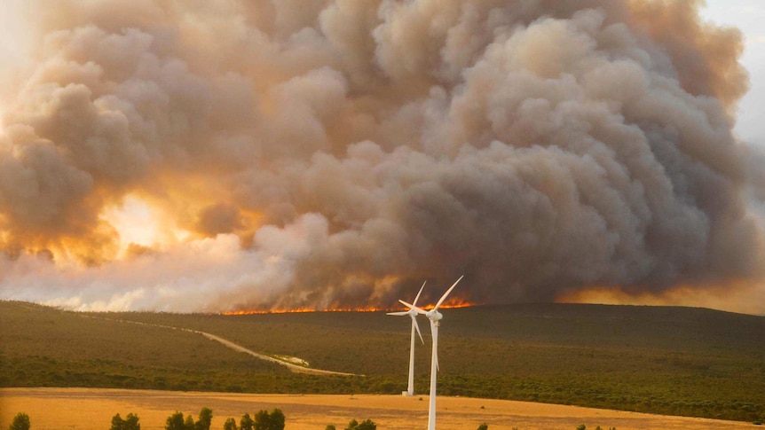 Bushfire burning on near Wedge Island near Lancelin, north of Perth, with wind turbines in the foreground