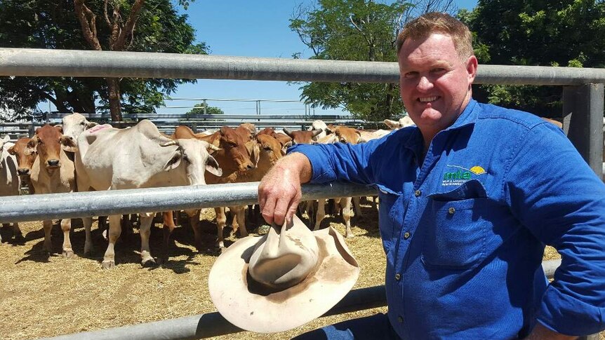 Mark Kiingham from Meat and Livestock Australia stands outside a cattle pen at the Charters Towers Cattle Sales