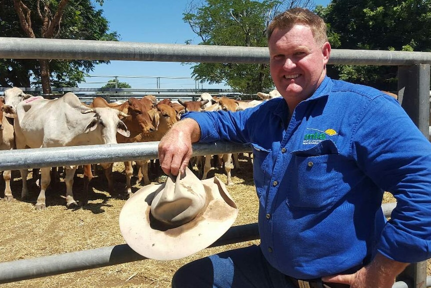 Mark Kiingham from Meat and Livestock Australia stands outside a cattle pen at the Charters Towers Cattle Sales