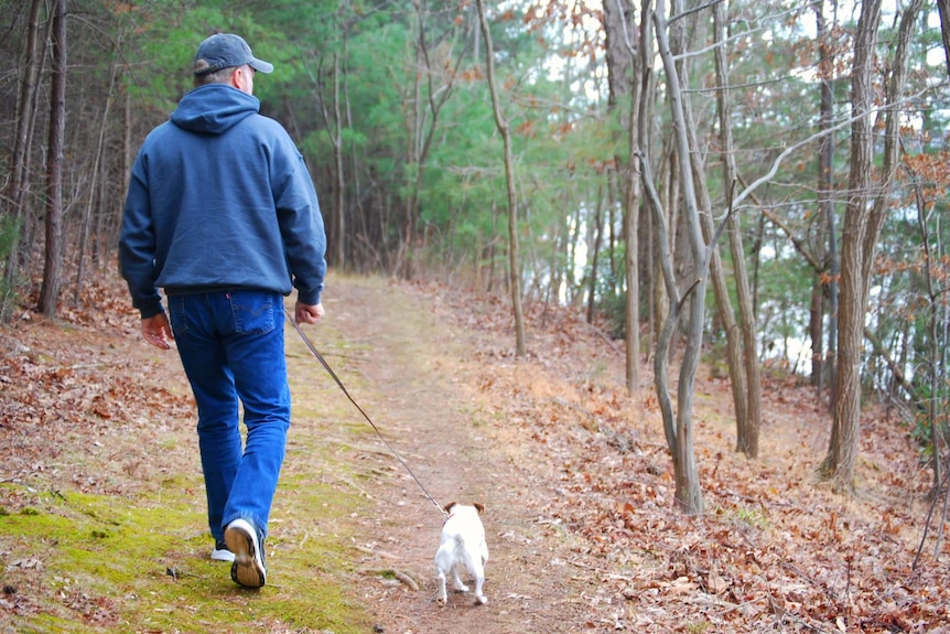 Man walking down a forest track with small white dog. Both are walking away from the camera.