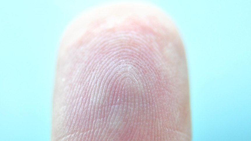 The technology captures the vein patterns in a person's fingers for future scans.