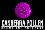 Canberra pollen count screen shot