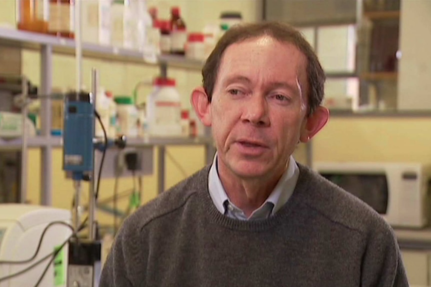 CSIRO Scientist talking to Landline about kombucha in Australia