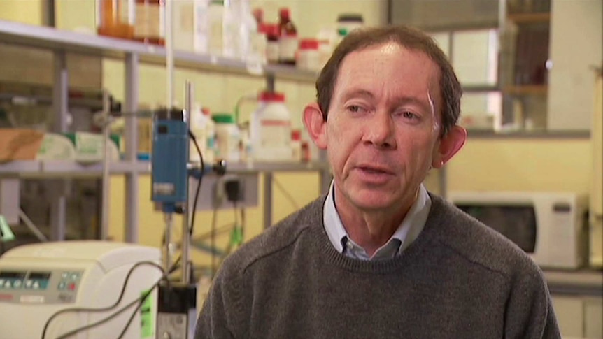 CSIRO Scientist talking to Landline about kombucha in Australia