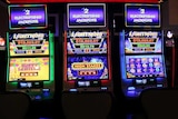 Three poker machines inside a club.