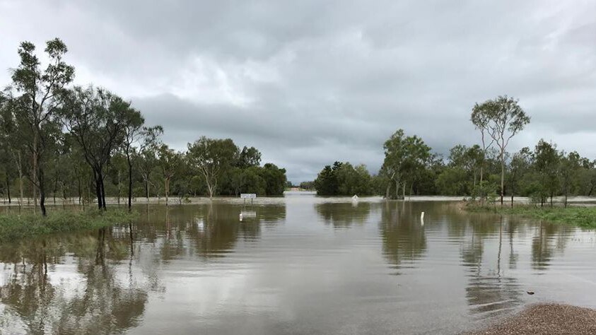 Flooded road and cane paddocks at Barratta Creek near Clare, south of Townsville