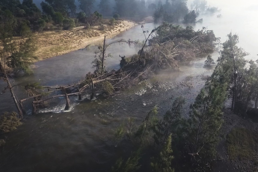 an aerial picture trees damaged by flooding