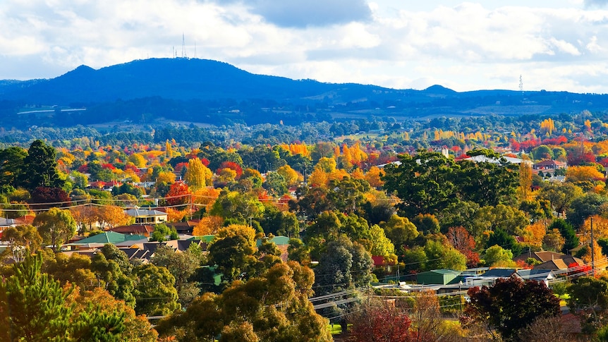 A colourful photo of Orange city in the foreground and a mountain in the background.