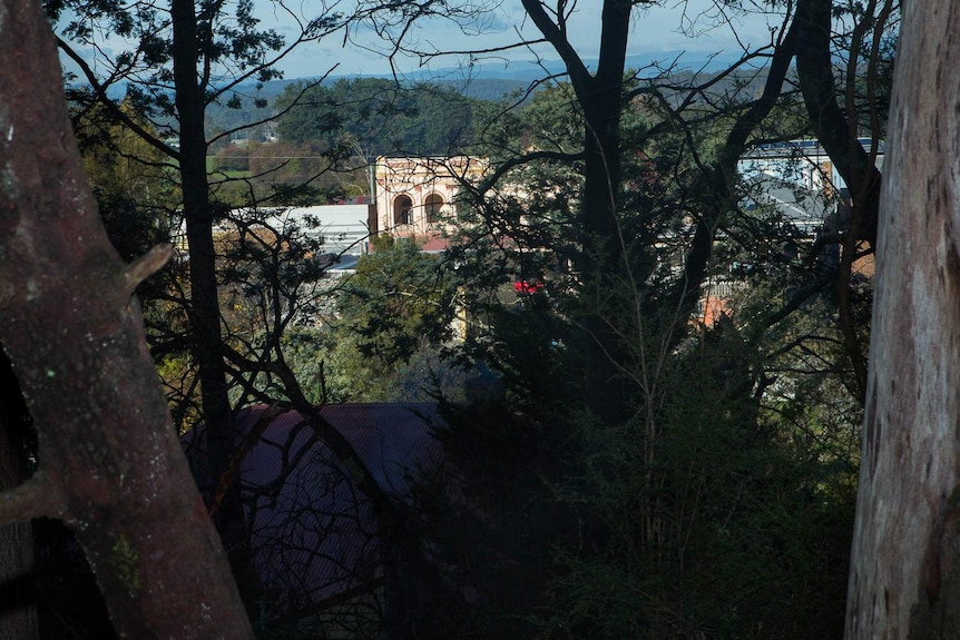 View through the trees to Latrobe from Dooley's Hill