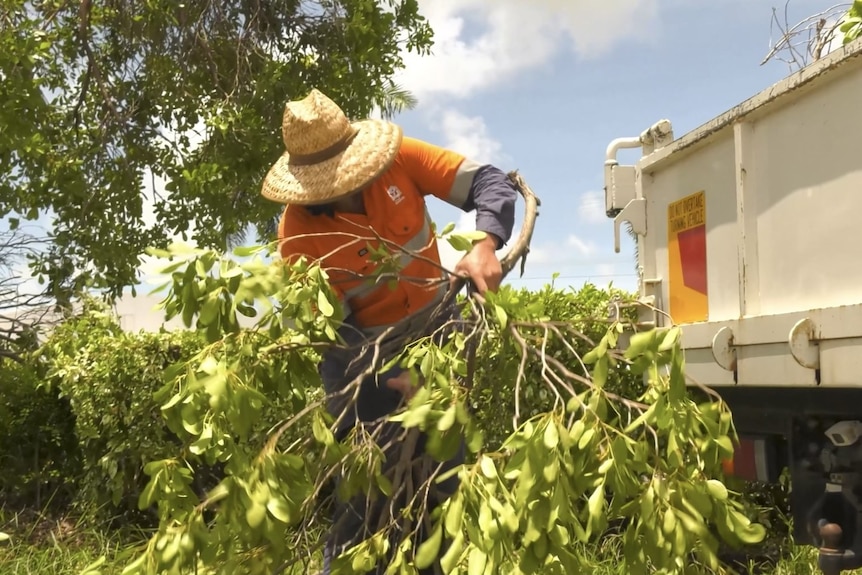 A man in a high-vis shirt and straw hat cleans up a fallen tree branch next to a truck