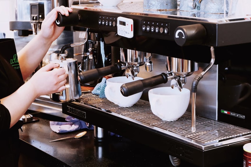 Barista warms milk at industrial coffee machine