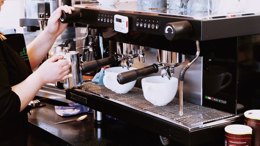 A barista warms milk at industrial coffee machine.