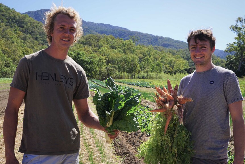 Two men one is holding freshly picked carrots the other silver beet veggies behind them bush covered hills in the background