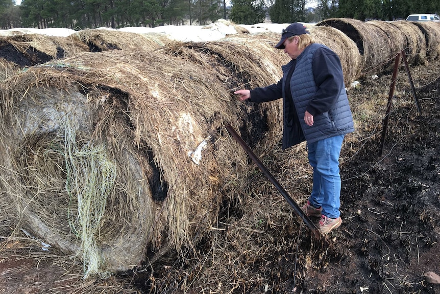 a man inspects a bale of hay that has been burnt with rows of bales in the background