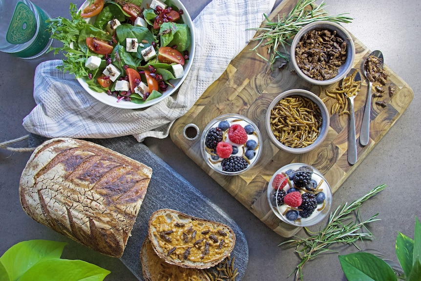 A slice of bread loaded with mealworms, yoghurt topped with worms and crickets in a salad. 