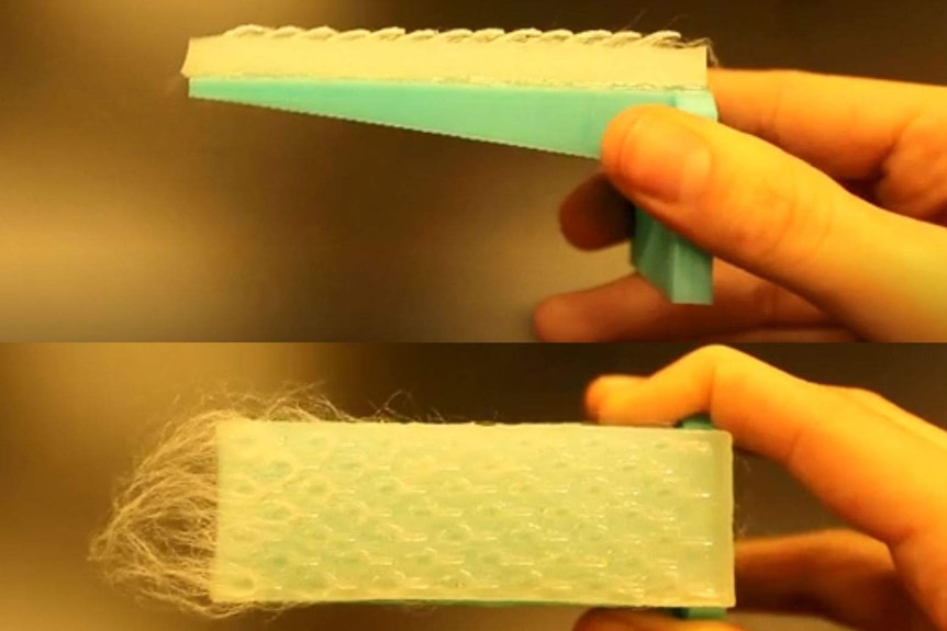 Flexible plastic brush inspired by a cat tongue.