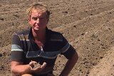 Farmer Brett Shearwood holds a handful of dry dirt in an empty cotton field.