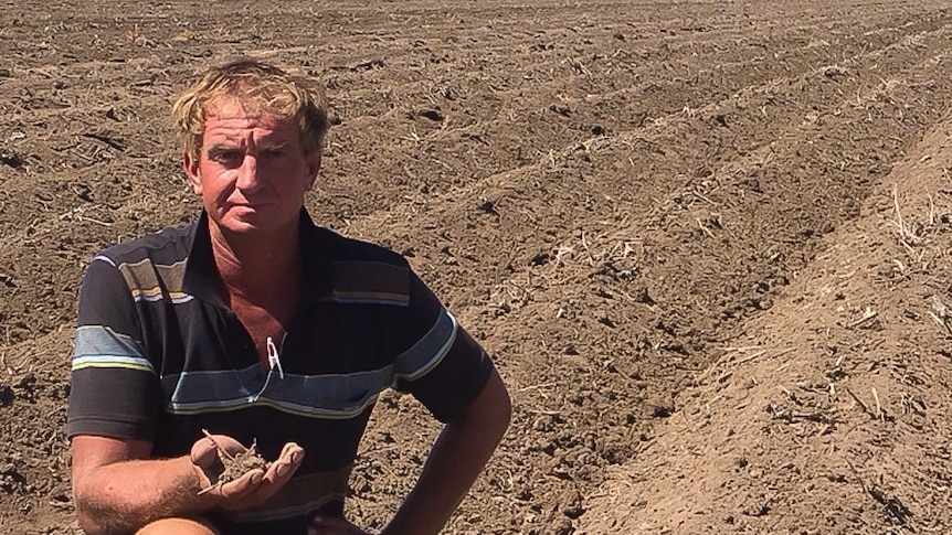 Farmer Brett Shearwood holds a handful of dry dirt in an empty cotton field.