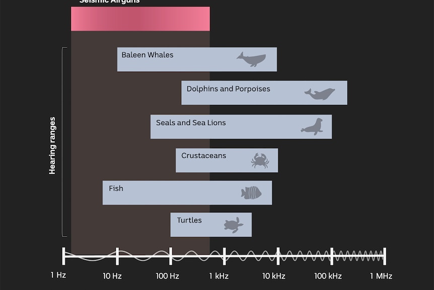The hearing ranges of several marine species overlap with seismic testing in this graph.