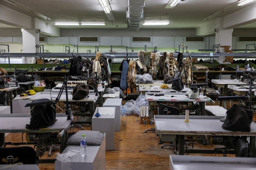 A view inside the closed workshop shows desks and fur hanging. 