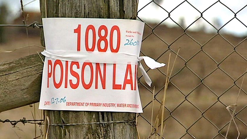 A sign on a fence indicates 1080 poison in use