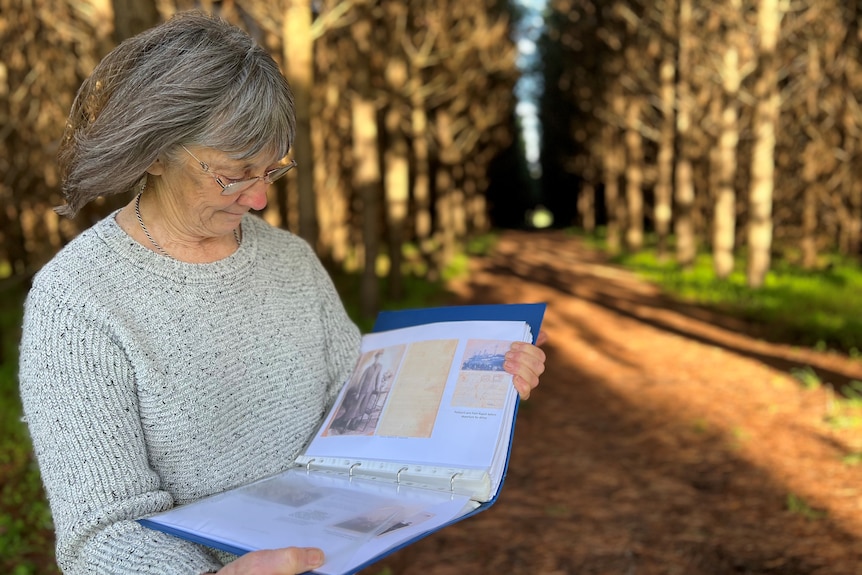 a woman with grey shoulder length hair reads and holds a folio in a pine forest