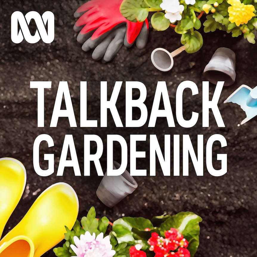 Composite graphic or plants, gardening gloves and other implements on dirt with Talkback Gardening over the top.