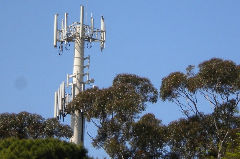 A base station surrounded by trees.