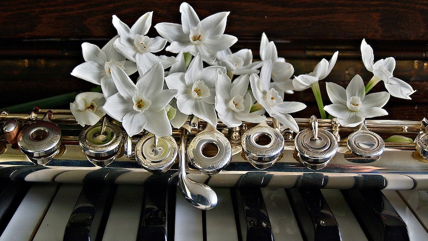 White flowers on a flute, on a piano's keyboard.