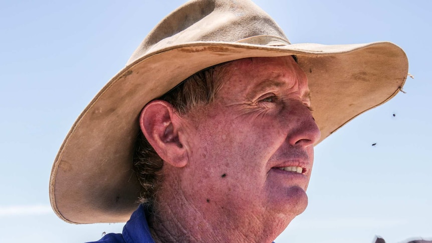 A grazier, surrounded by flies, talks about his situation