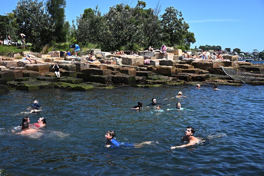 Children and adults swimming in blue water with a rocky platform in the background
