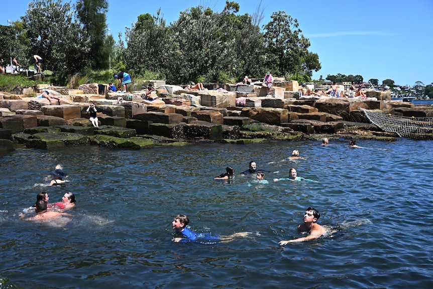 Children and adults swimming in blue water with a rocky platform in the background