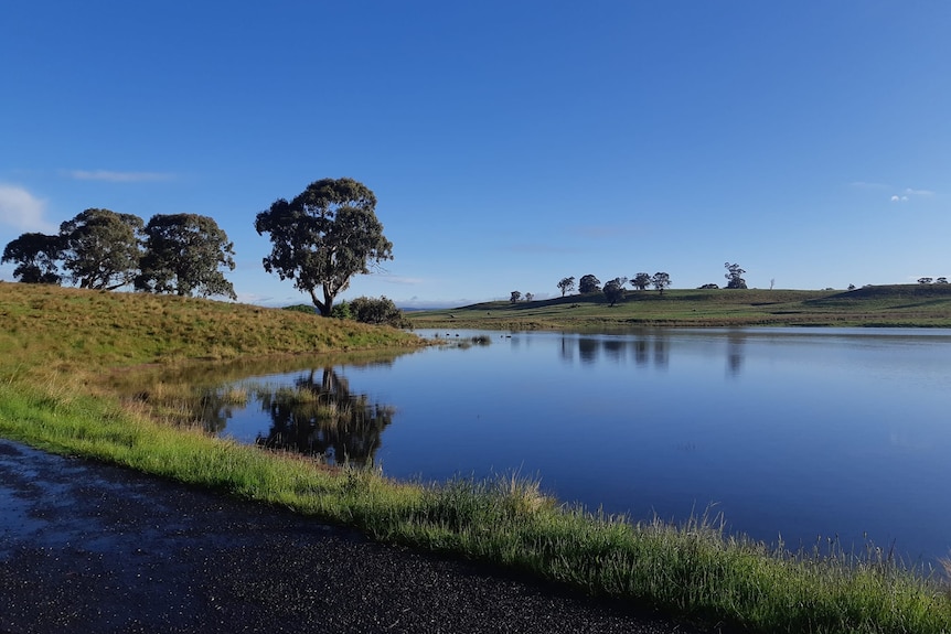 A stunning lake in the country beneath a cloudless sky of a deep and alluring hue.