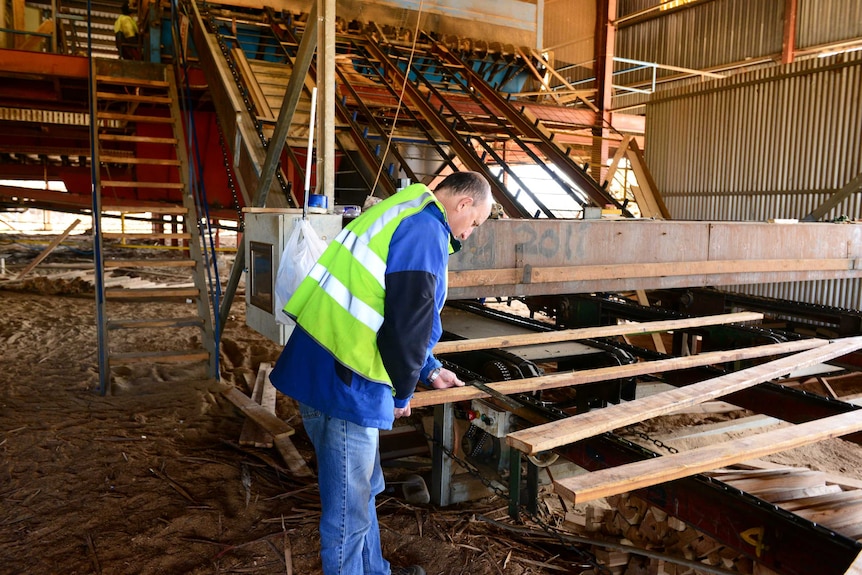 Paddy Paul inspecting timber at Baradine Sawmill