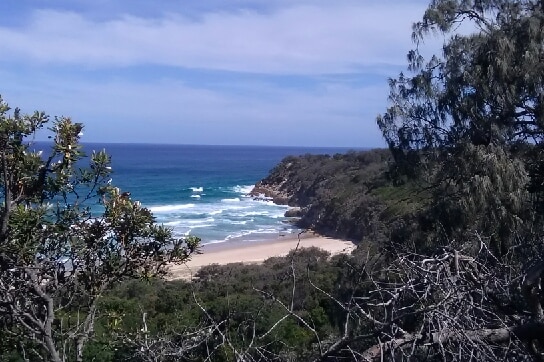 A view from a hill shows thick scrub running down to a beach and rocky headland.