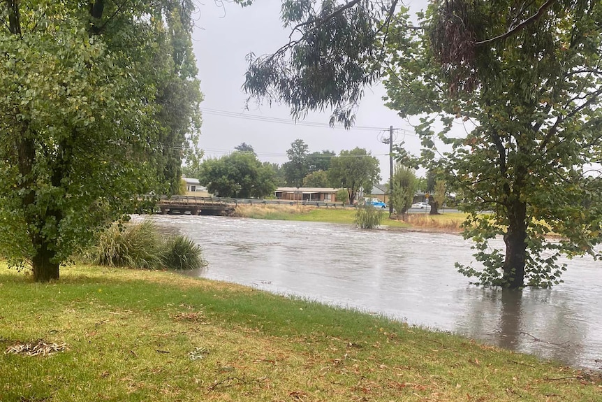 A flooded creek passes under a low-level road crossing. 
