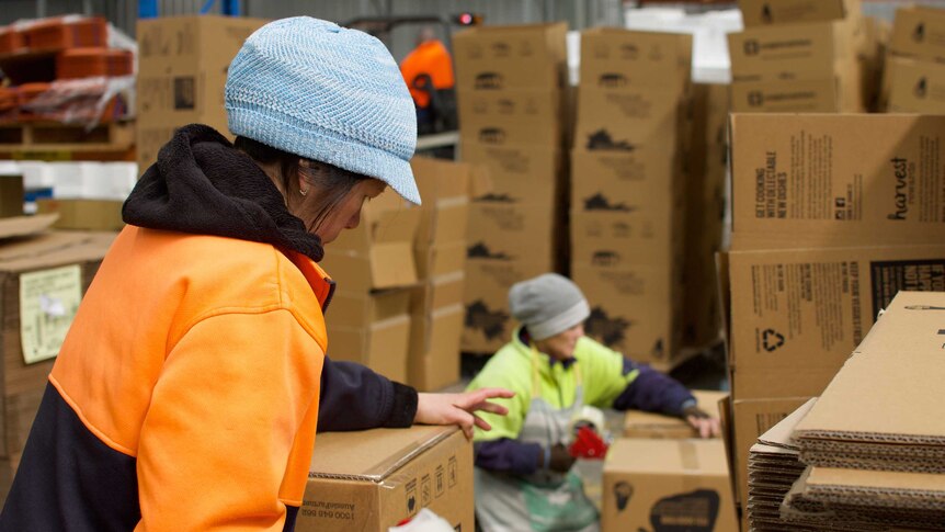 Workers wearing high-vis clothing assemble cartons at the Aussie Farmers Direct warehouse.